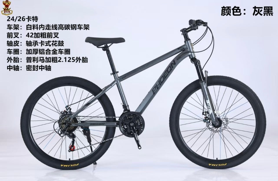 High-carbon steel frame Bicycle