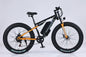 Electric Mountain Bike